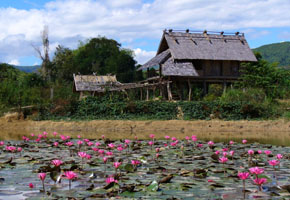 Sdostasien, Laos: Land des Lchelns - Haus an einem von Seerosen bedeckten See 